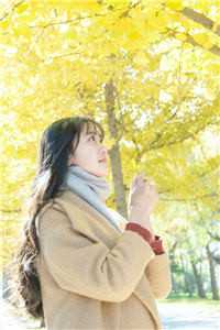 闪婚,女方竟是金饭碗完整版阅读