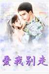 精选小说无双上将