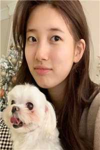 全集小说开局帝境宗主,无限合成仙人长老陈玄