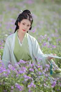 夫人智勇双全,在古代疯狂升职精品推荐