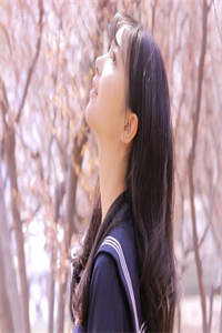 打造隐世宗门：从抢夺气运之子开始小说全集