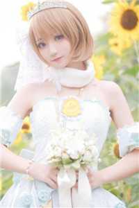 重生后，妙手神医她坚拒白莲花小说