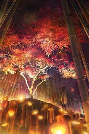 全章节阅读江棠月陆临