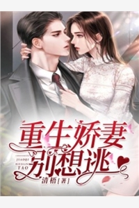 宫斗：贵妃娘娘每天都在努力回现代小说