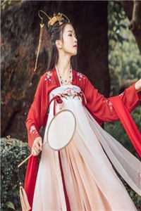 完整版穿越书中书：小知青种田不当大冤种