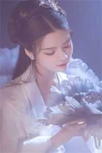 全章节穿越：透明人侧妃经商发家致富