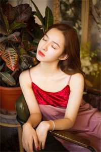 恶女重生：少帅宠妻不要脸小说