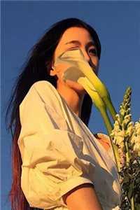 娇妻太全能，总裁追妻不易热门小说