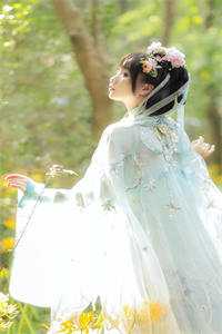 贵妃娘娘宫女出身，皇上偏宠着阅读全集