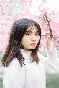 奸臣宠女精彩小说