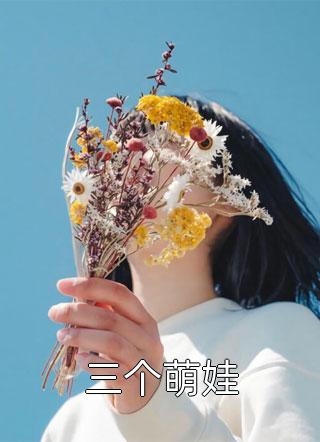藏师：天下寻宝优秀文集