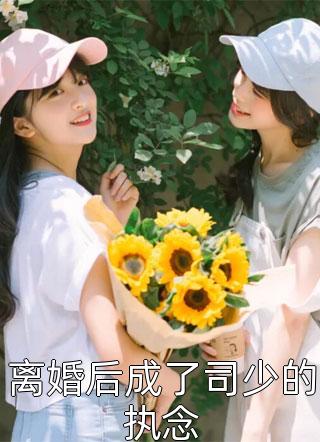巅峰人生全集小说推荐
