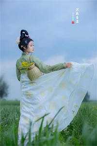 长篇小说阅读狂龙出山：绝美未婚妻