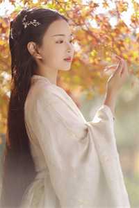 兽世虎妞季暖全集小说