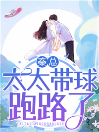 绝品宏图精选篇章