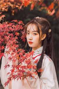 在线阅读婚恋：与你看晴空，揽星河