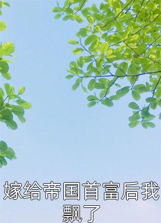 天道纪元热门小说