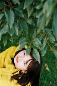 精选全文夫人她来自古代