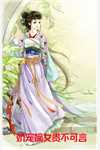 全集小说祝君好