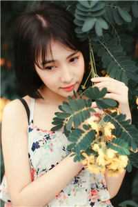 精品选集藏师：天下寻宝