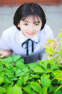 觅仙途已完结