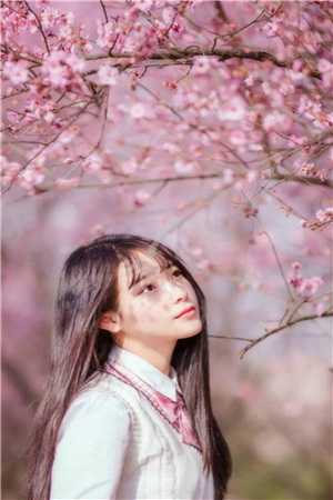 被京圈太子爷抛弃后,我远嫁东北畅销巨作