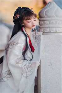 全文阅读宠哭！太子妃她是笨蛋美人