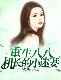 一纸军婚：七零军嫂她又疯又飒全集小说推荐