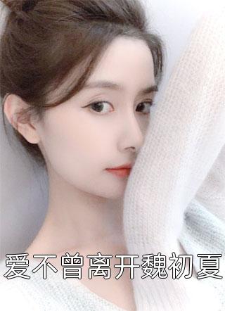 王者归来全集小说