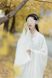 宠哭！太子妃她是笨蛋美人畅销小说