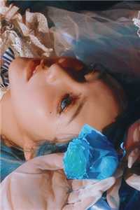 我,罪臣之女,开局进青楼