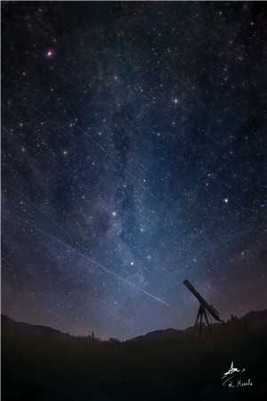 总裁今天求复合了吗？
