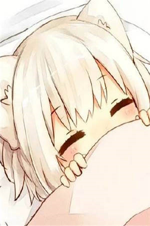 秦风寇正阳