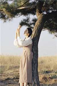 穿越：仙界第一炼丹师横行税务局