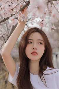我的倾城大小姐