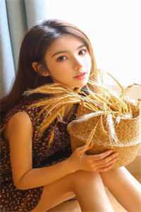猫奴老婆害死全家热门小说