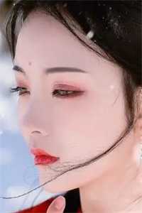 王妃死的那天,王爷吐血昏迷完整作品
