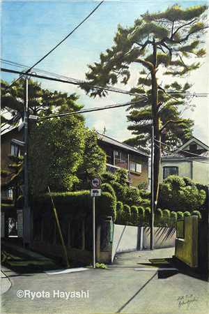 未婚妻太野，岳父直接让我娶伴娘全本阅读