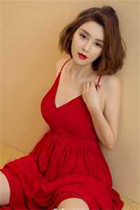 高质量小说两情若只如初见