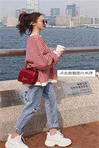 迟冬不赴春小说安以夏盛司聿