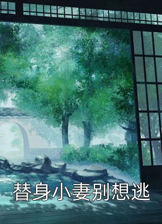 权途之呼风唤雨叶云洁林志强