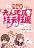 江宸玉佩的小说浮生如梦
