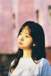 翠荣太子妃写的小说画师