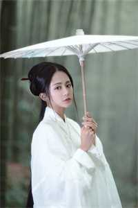 小说官婿美人香(刘志中张宏阳)