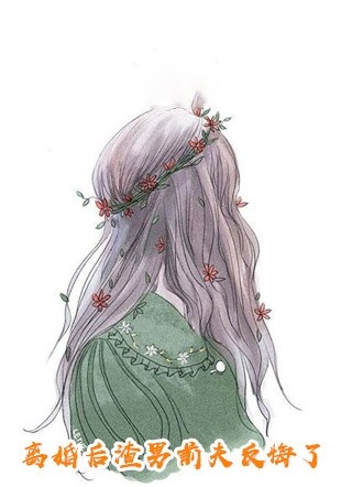 完整文集昔去雪如花