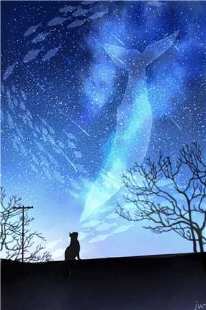 惟愿星海不相逢小说裴煜姜妍