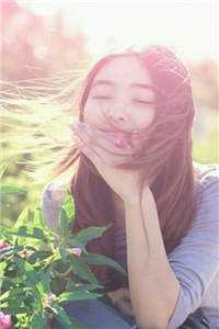 完结版小说恶毒女配拒绝下线苏晚舟沈修远