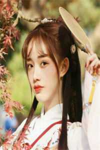 当年明月难寻小说