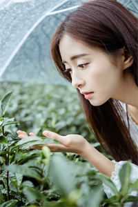 山高水远，再不相见高质量小说