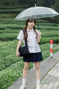 季淮之顾洛鸢飞鸟越不过山海小说